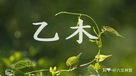 乙木人|八字命理十天干详解之乙木